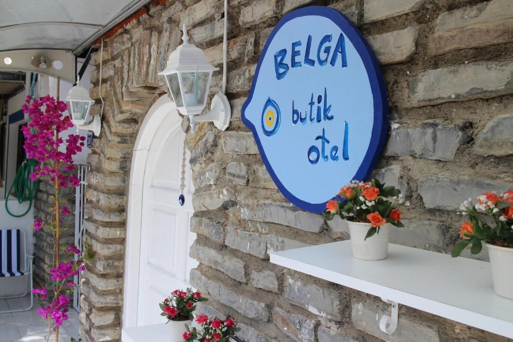 Belga * Bodrum