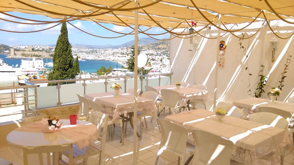 Belga Guest house *