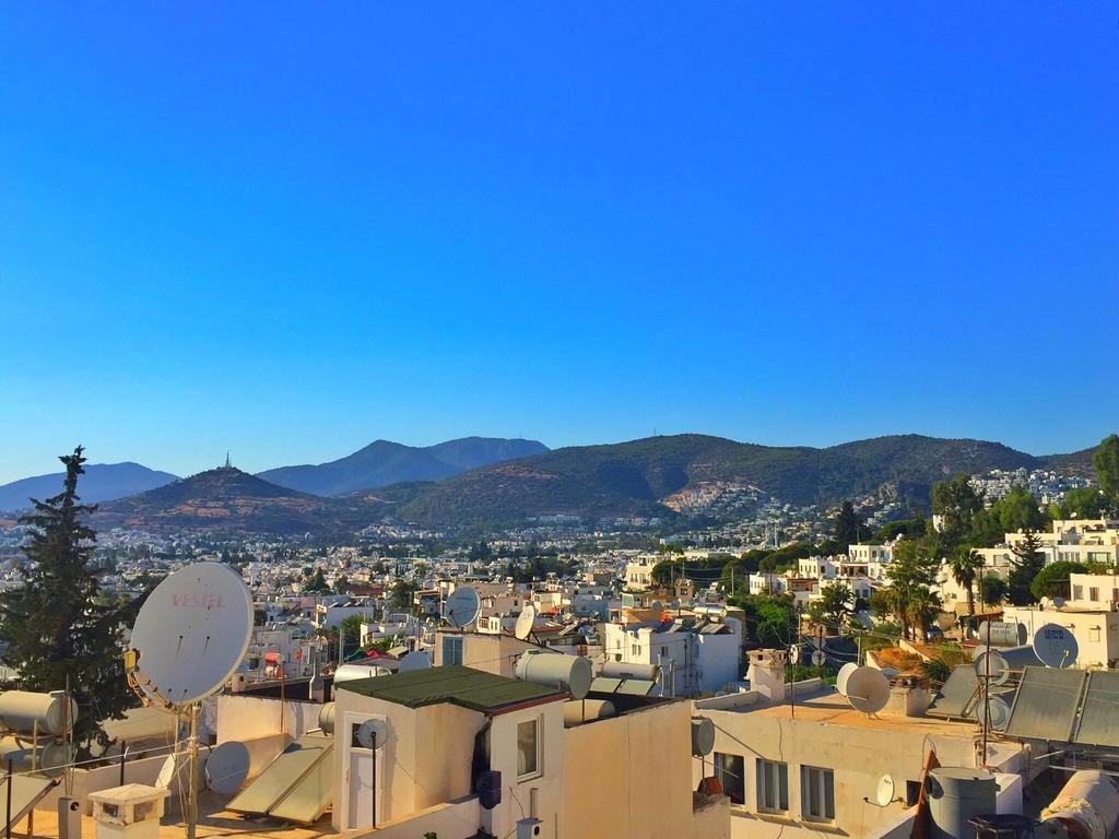 Guest house Belga